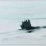https://www.birenboimdan.com/Assets/Images/32/45/Small/e49_3.jpg